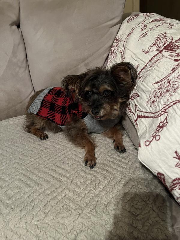 FUROSEMIDE (Generic) Tablets For Dogs & Cats, 120 tablets, 12.5mg