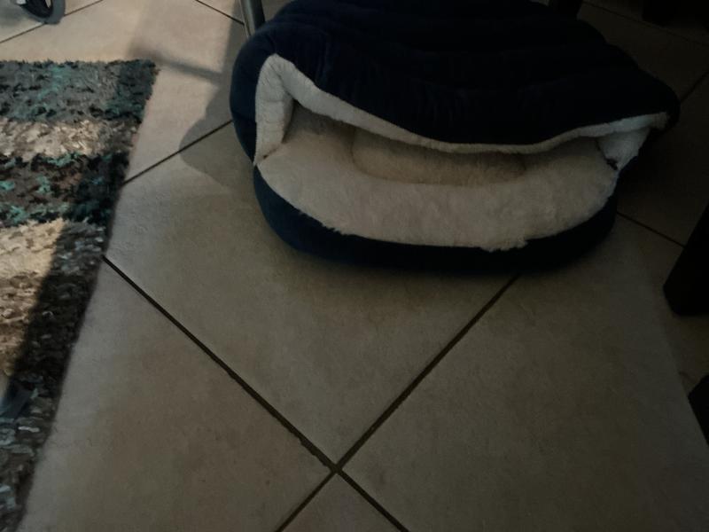 They quit trying to get in it