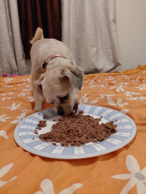 She loves it! Definitely a must try for your pup!