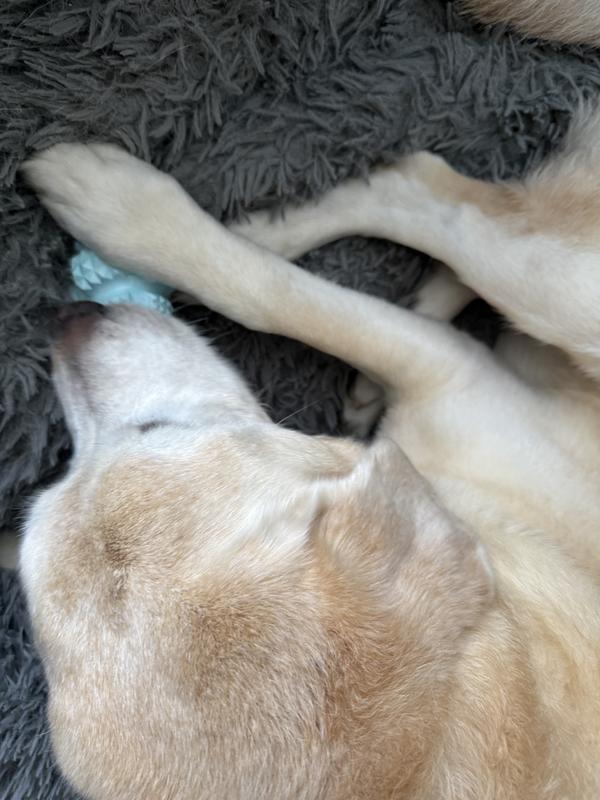 Milkbones treats smell good but can’t get them out