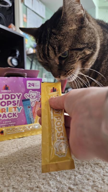 Nym enjoying the chicken and pumpkin treat