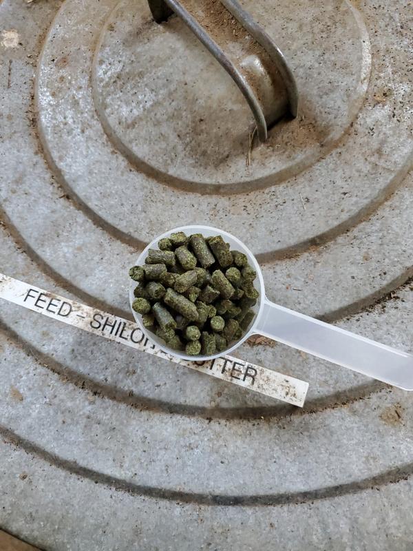 Pellet size.