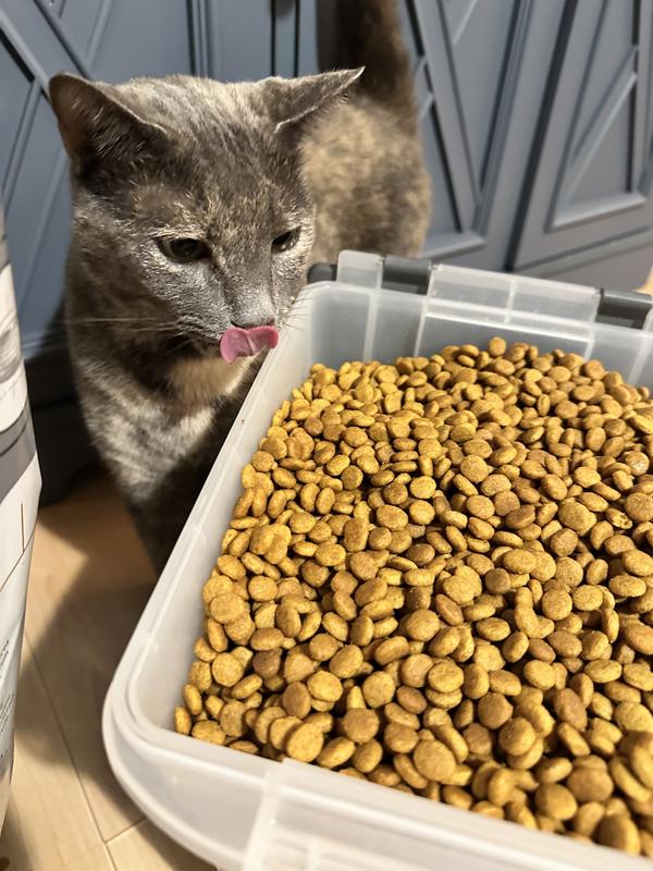 Cloud watching me refill the food container
