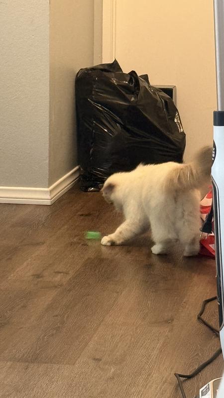 Flower playing