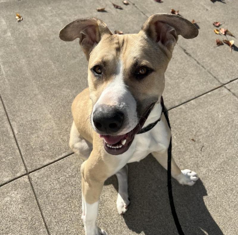 Leroy is happy once again