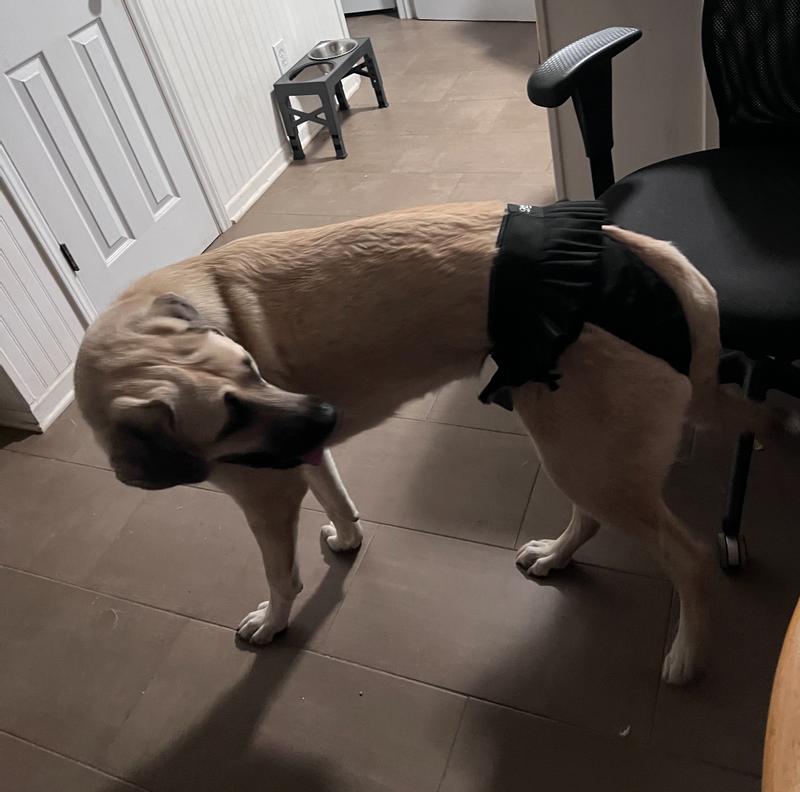 Bora is trying her new look.