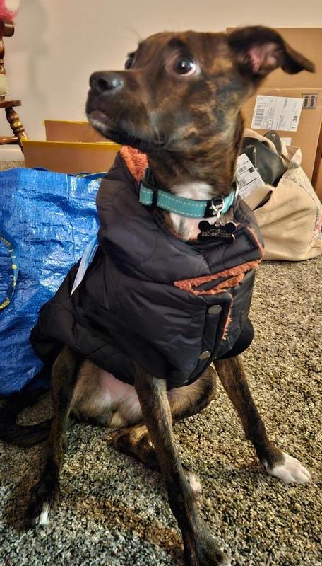Trying on my new winter coat