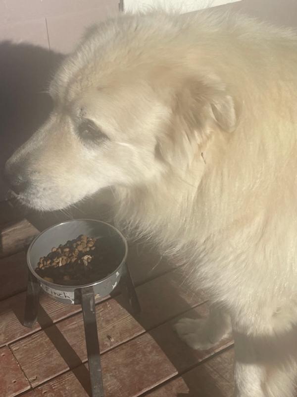 Suspicious First Sniff