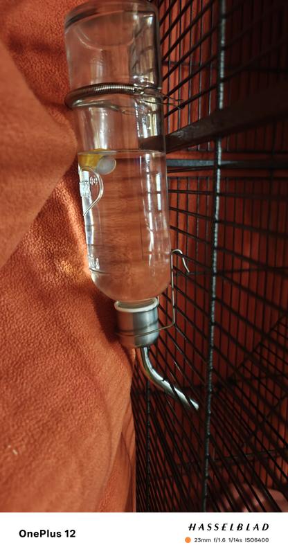 One of the better water feeders I have bought