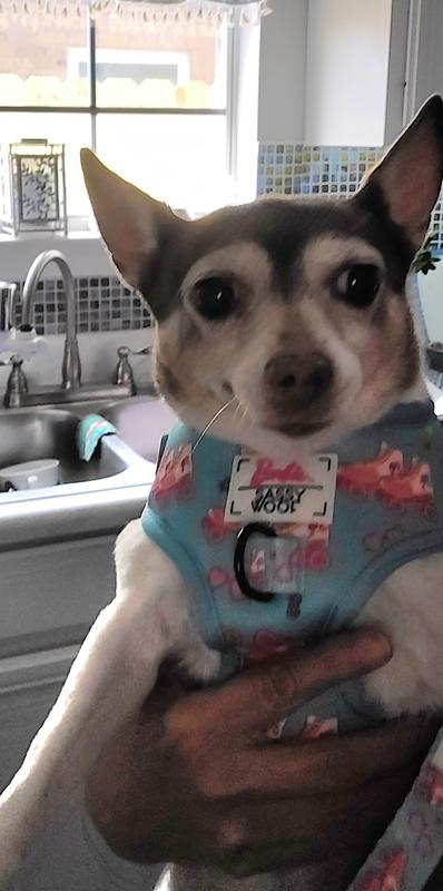 Looks fancy, well made