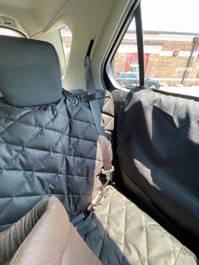 Seat belt secured. Paired with Plush Paws Car door cover