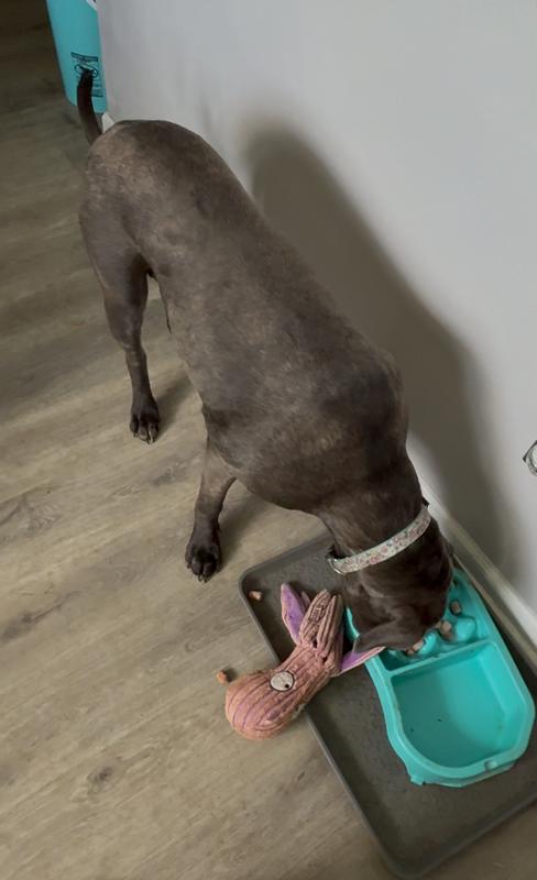 The chunks were a good size to encourage chewing them fully even for the quick eater