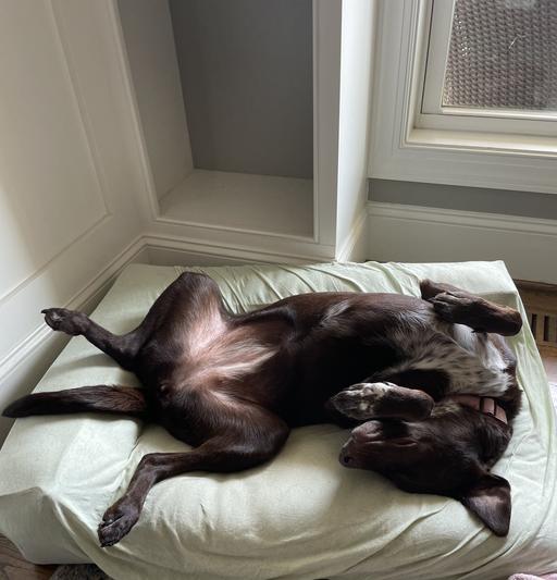 Relaxed and happy