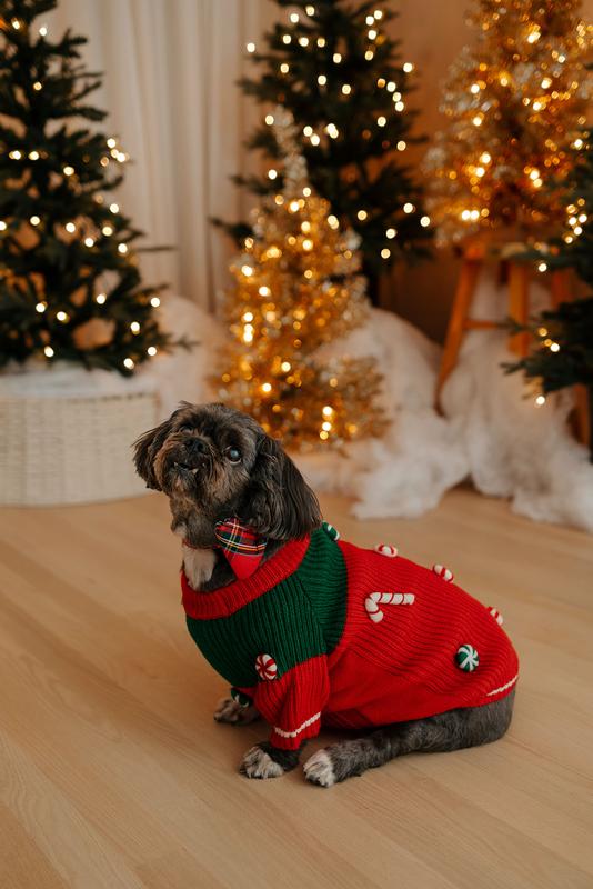 Adorable and Detailed!