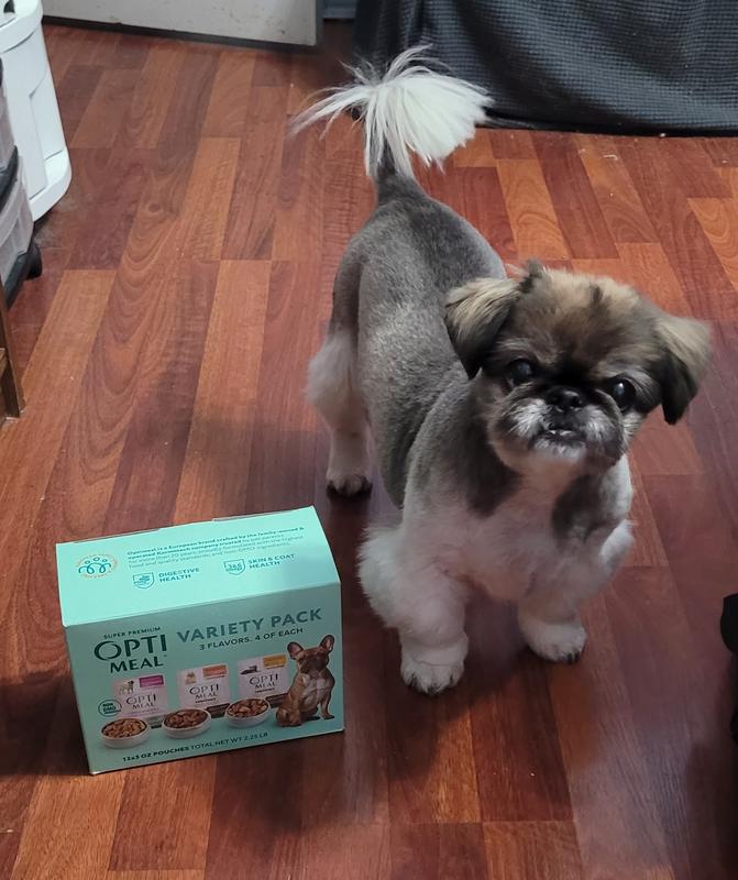 Snuggles giving her approval.