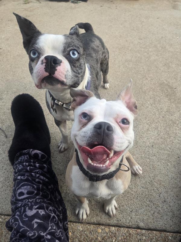 Very happy fed babies