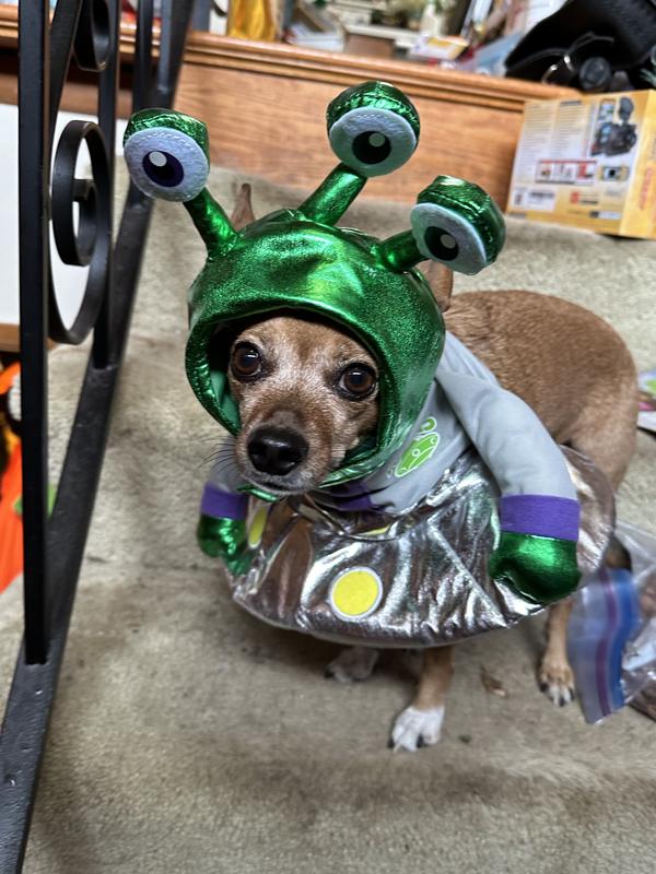 FRISCO Front Walking Alien Dog & Cat Costume, Small - Chewy.com