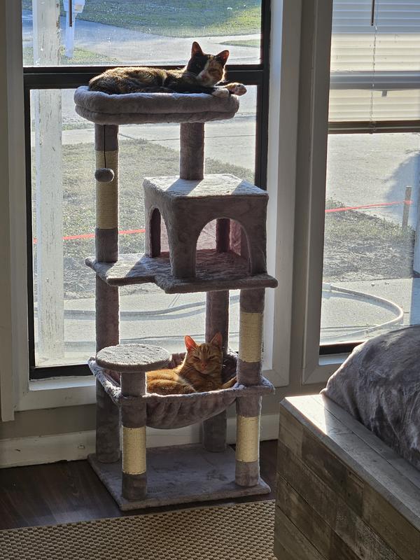 Kiki (top) and Wubbo hanging out in their new cat stand....