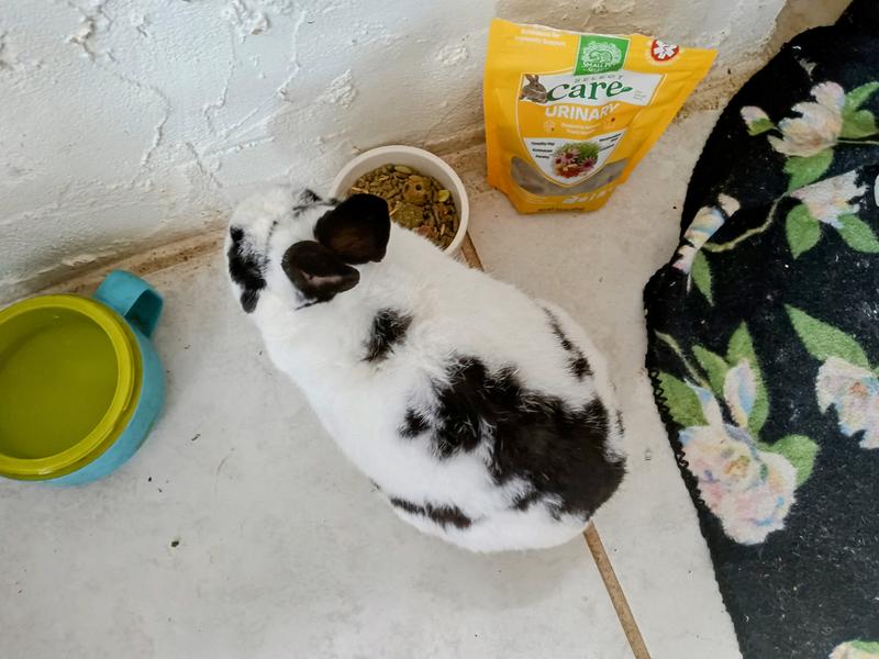 "mom. You want me to try this"?