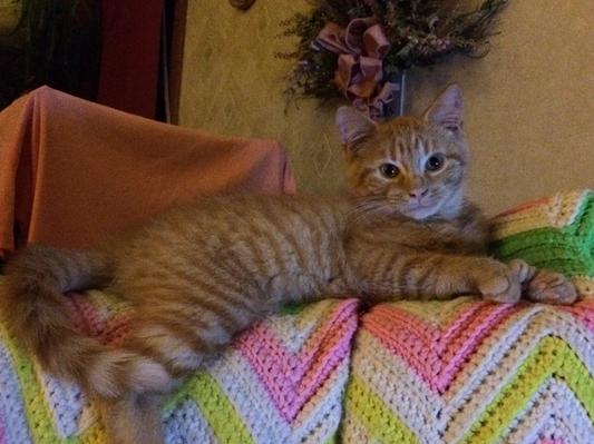 My sweet boy
