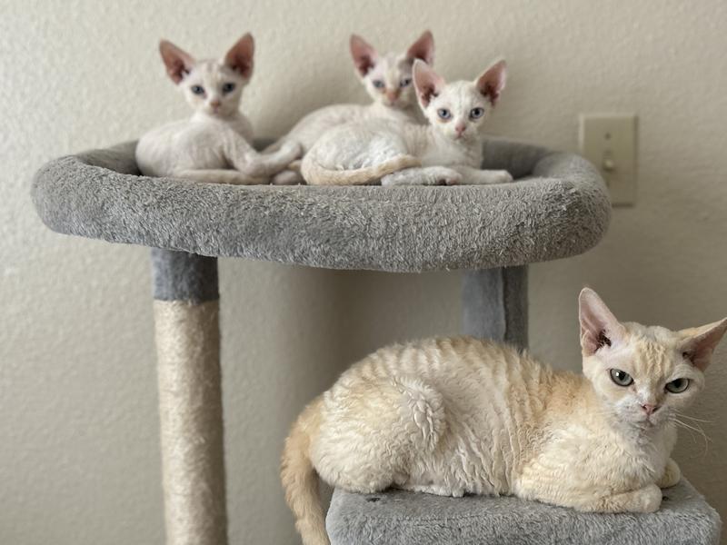 Spoiled but who cares!