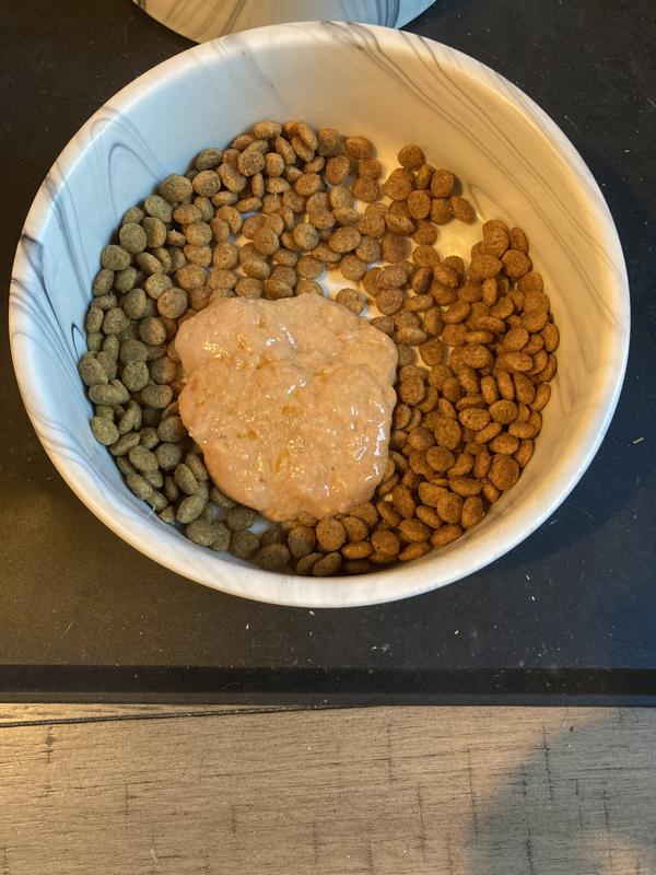 Drizzled over her dry food