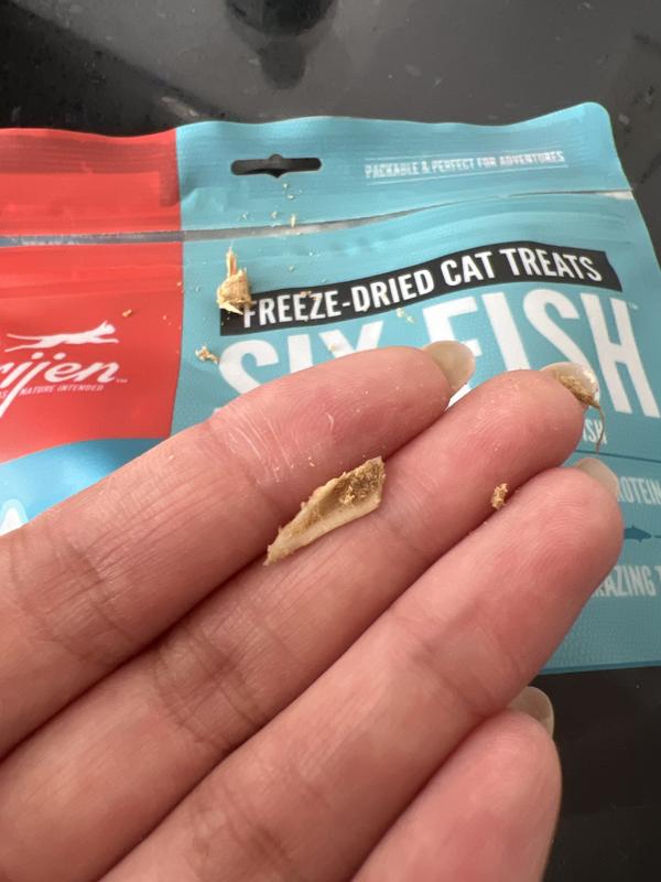 Doesn’t look like fish