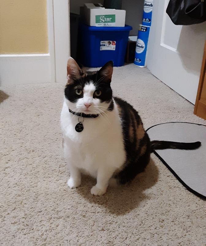 Zoey