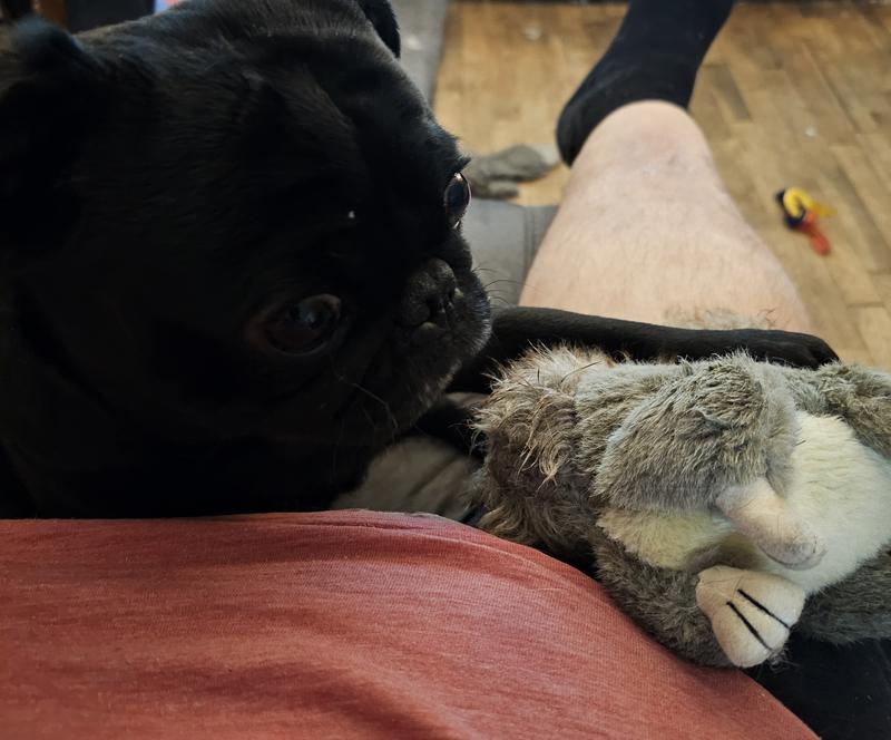 I got it Dad!!