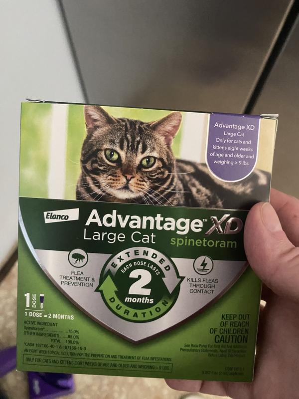 Advantage large cat best sale