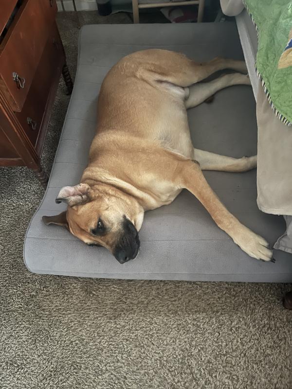 Big boy loves his big bed