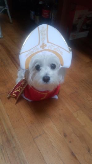 Holy hound outlet costume