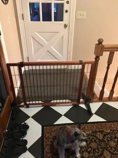 CARLSON PET PRODUCTS Design Studio Freestanding Extra Wide Pet Gate, 28 ...