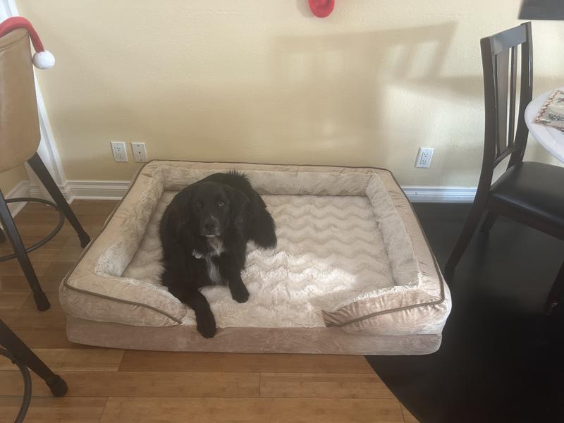 A bed fit for a king!