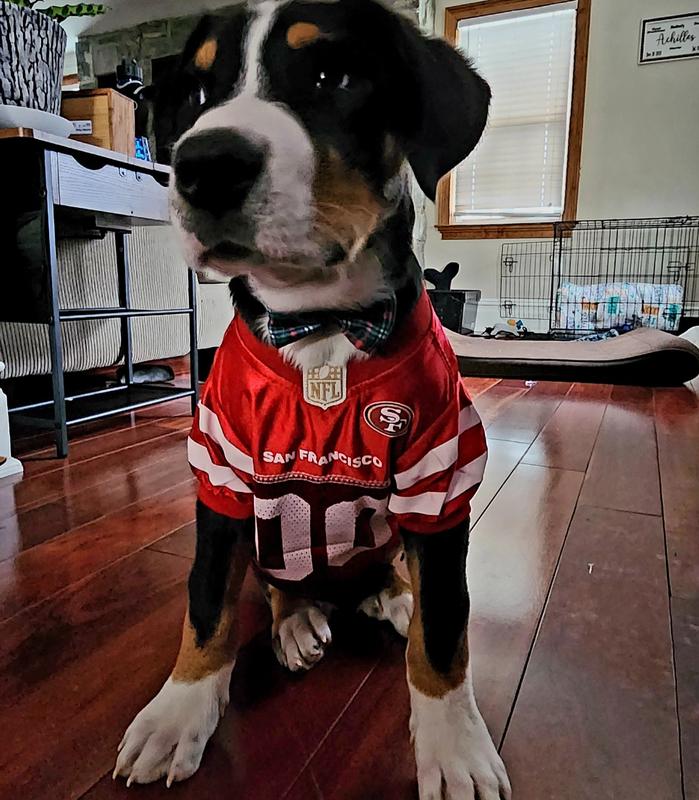 San Francisco 49ers NFL Dog Jersey - Small