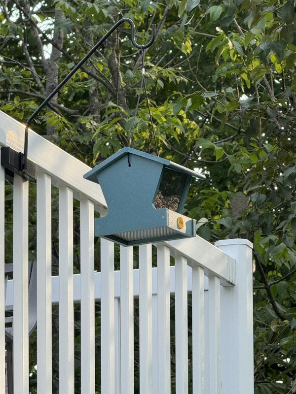 Birds took right to it!