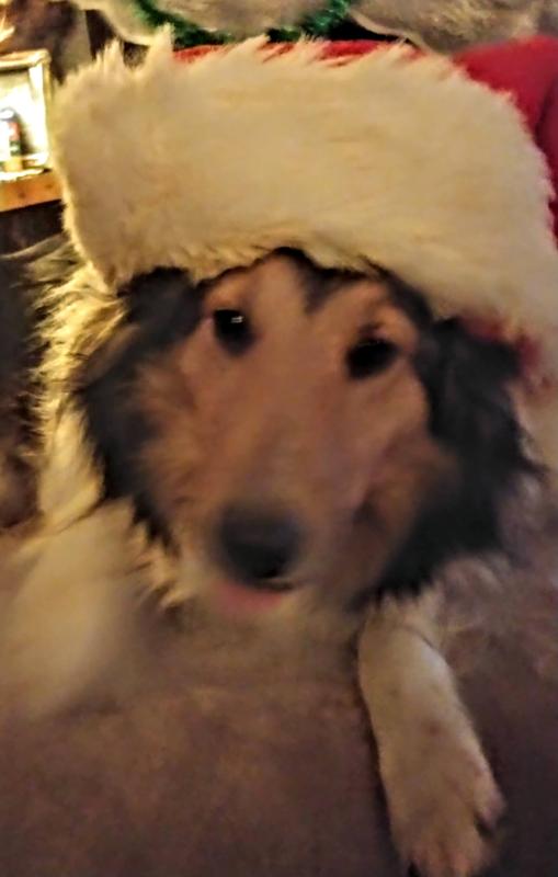 Jasmine waiting for here's with tongue out happiness