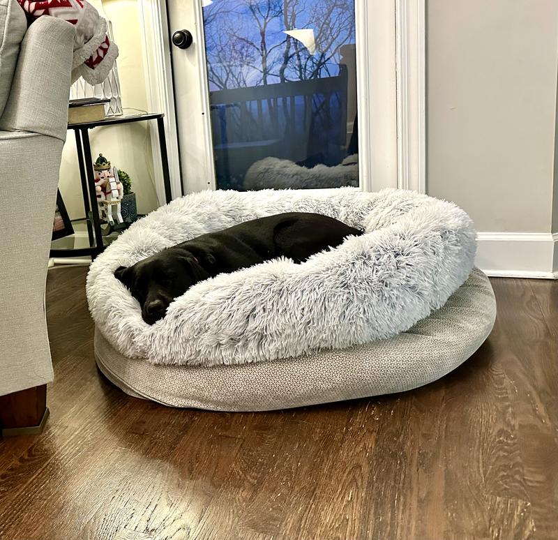 “Princess and the Pea” 😂