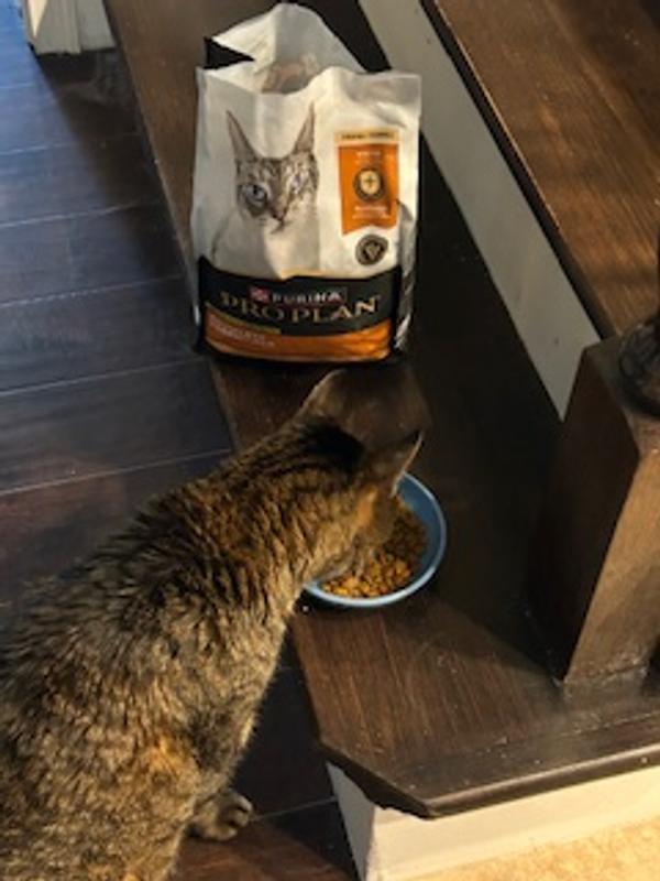 Buster is 20 years old.  He's enjoying this food.