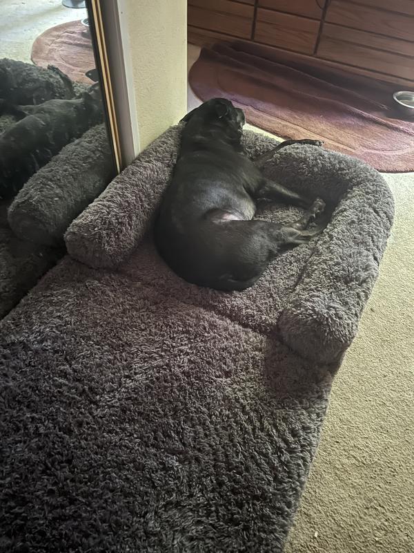 Happy Camper.Firmness + comfort perfect for a  108 lb/9 years old dog.