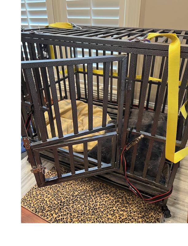 We changed out a 1000lb truck strap for the one he chewed through. OH, and by the way, he broke the latches on the top of the crate by banging his head against it until they broke. He then used the straps as a rope ladder to pull himself out of the crate.