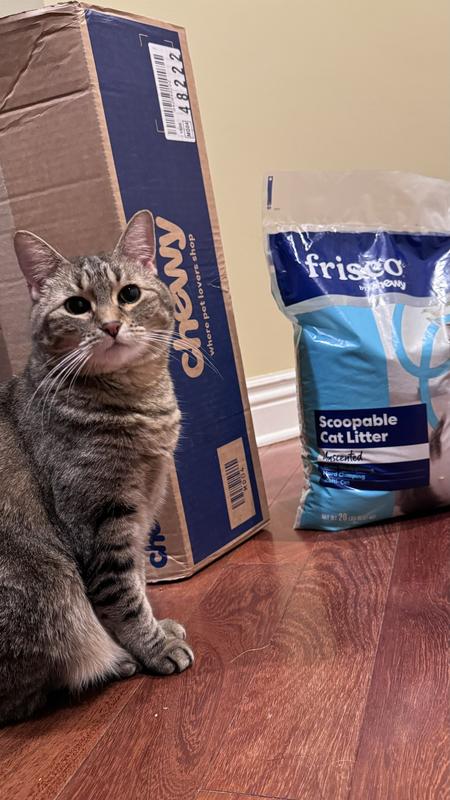 FRISCO Multi Cat Unscented Clumping Clay Cat Litter 20 lb bag