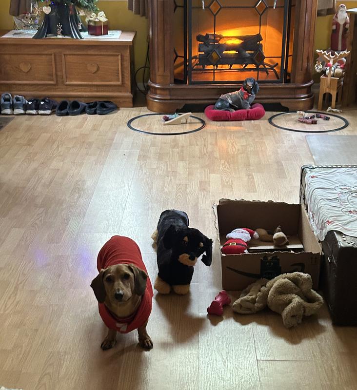 Oscar and “Larry”