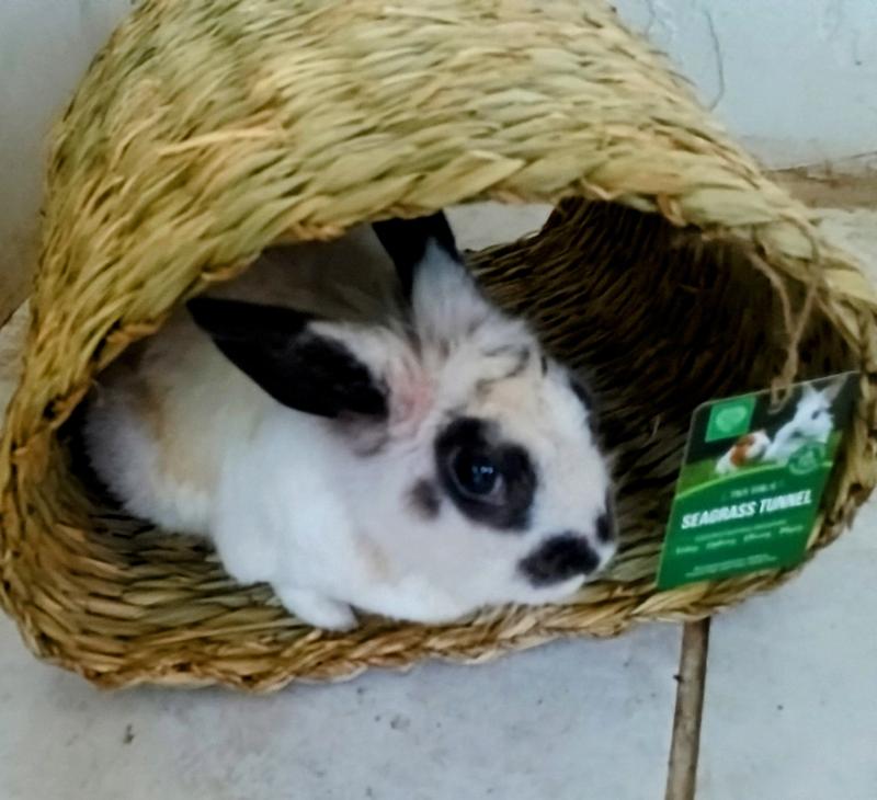 Sista F says..ah. I can rest here