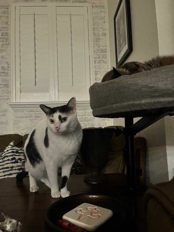 One of other girls a little jealous