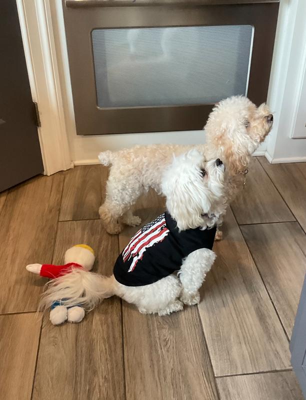 Lola & Lexi Waiting for their Kibble!