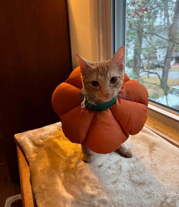 At least a photo opp