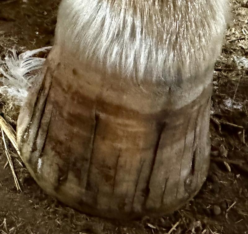 New growth is beautiful!