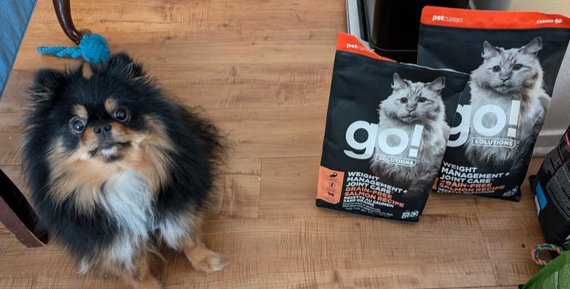 Don't mind the puppy she thinks everything is hers.