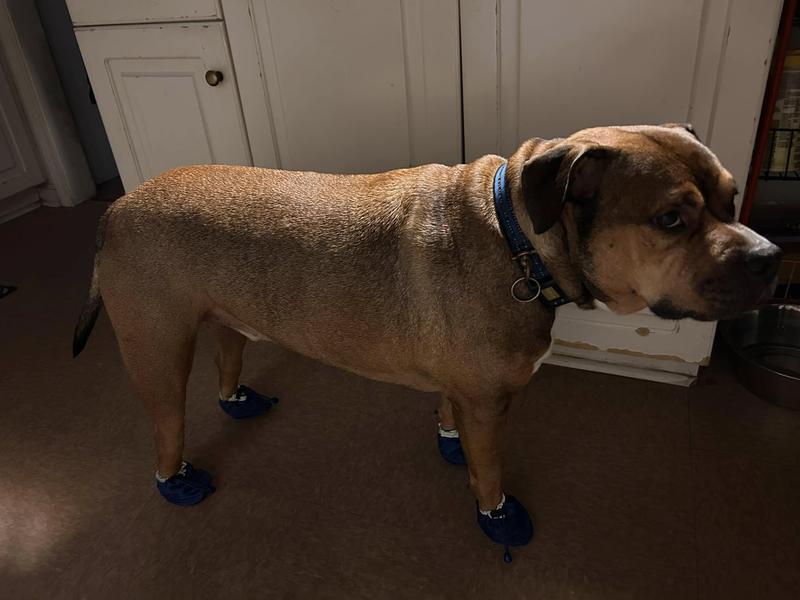 Looking a whole lot more solid!